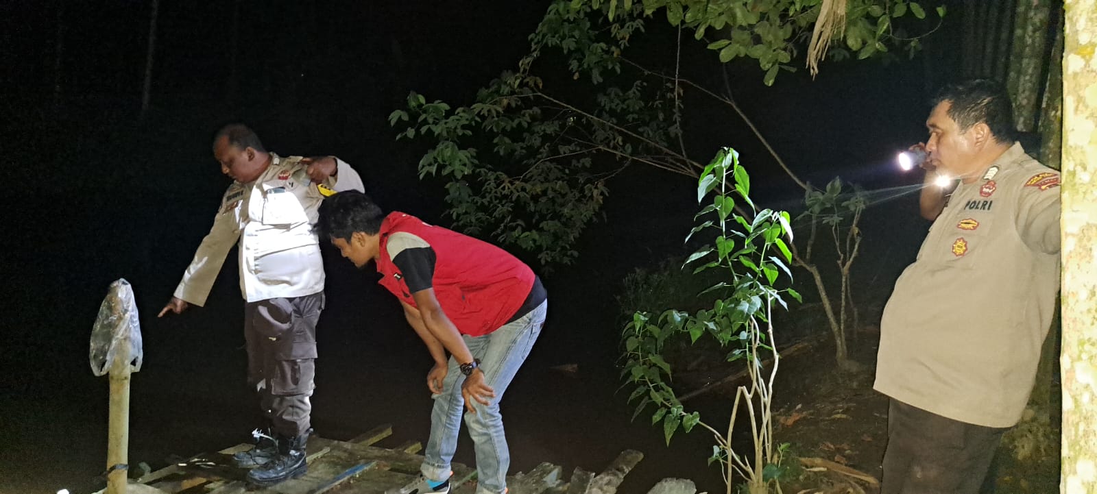 Sedang Berenang, Warga Rantau Indah Dendang Tanjab Timur Diserang Buaya Liar