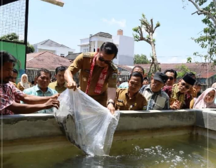 Budidaya Lele Dapat Tingkat Ekonomi Masyarakat