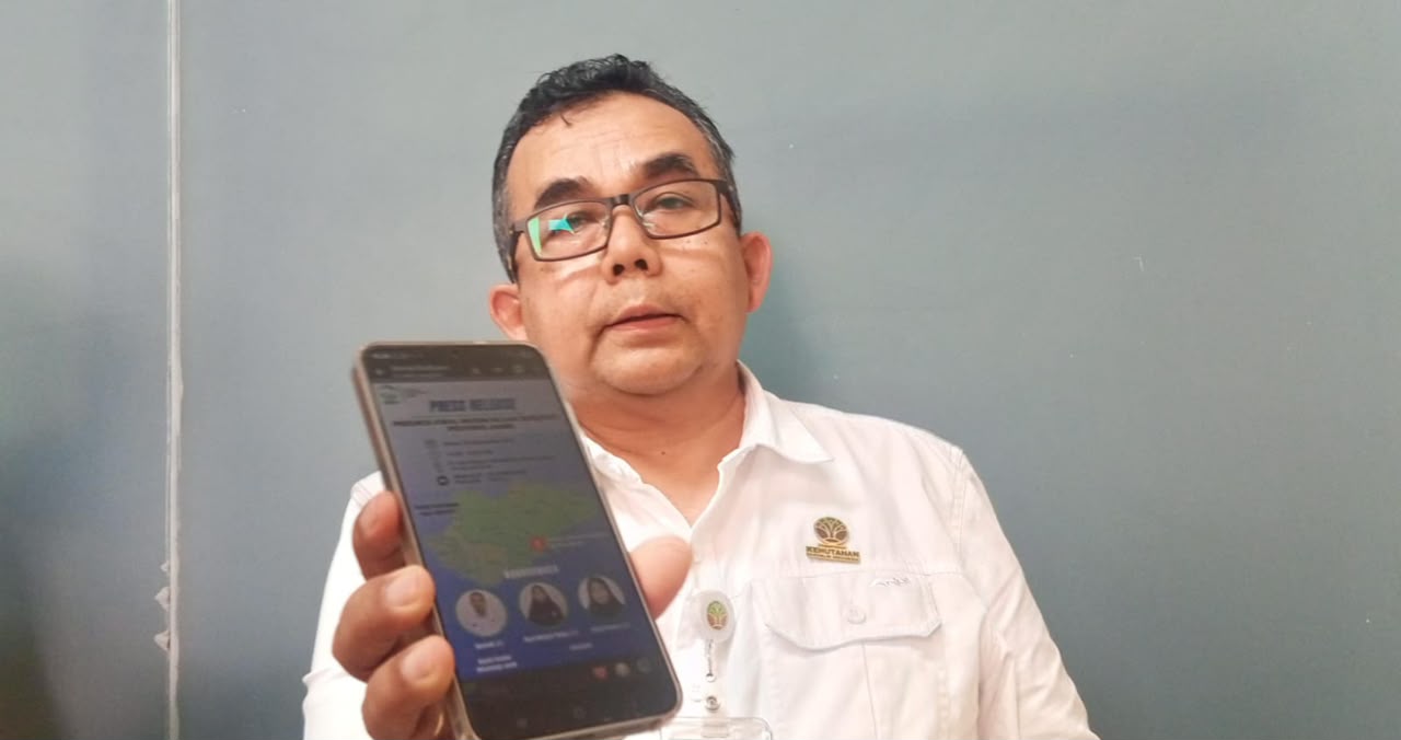 Gawat! Api Karhutla di Berbak dan Sembilang Makin Dekat ke Habitat Harimau, Jaraknya Tinggal 2-3 Kilometer