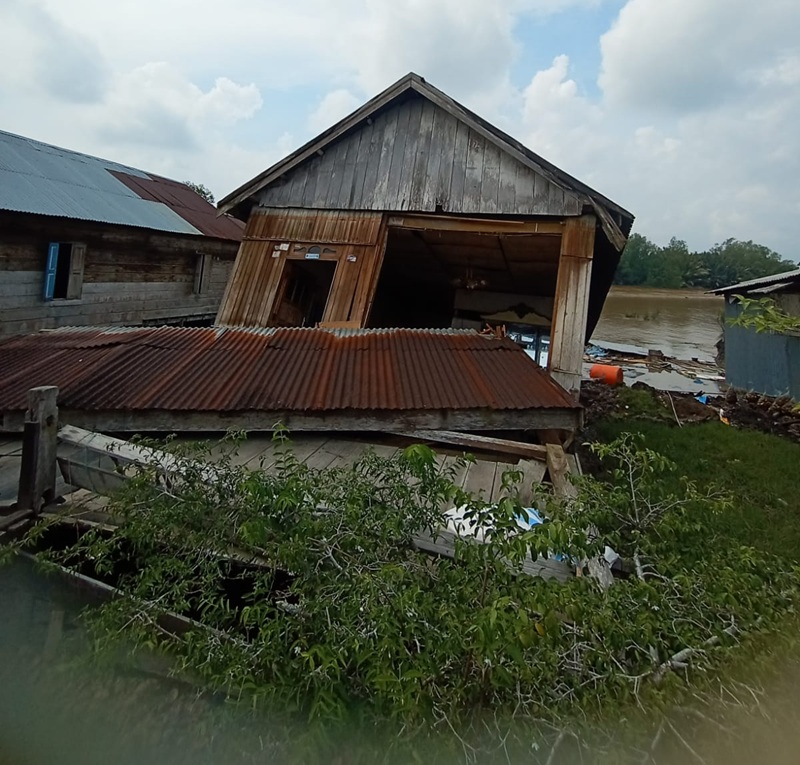 Sedih! Tiga Rumah di Desa Menteng Tanjab Timur Ambruk Akibat Abrasi