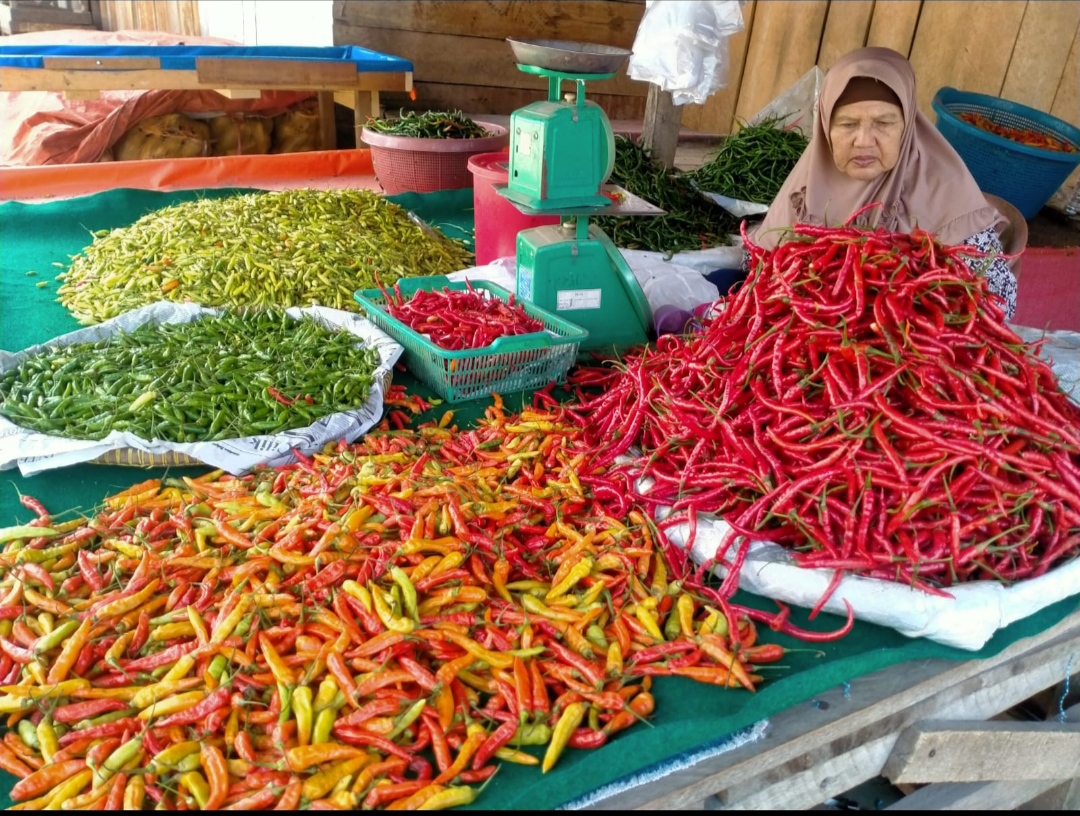 Harga Cabai dan Sayuran di Kabupaten Bungo Belum Stabil