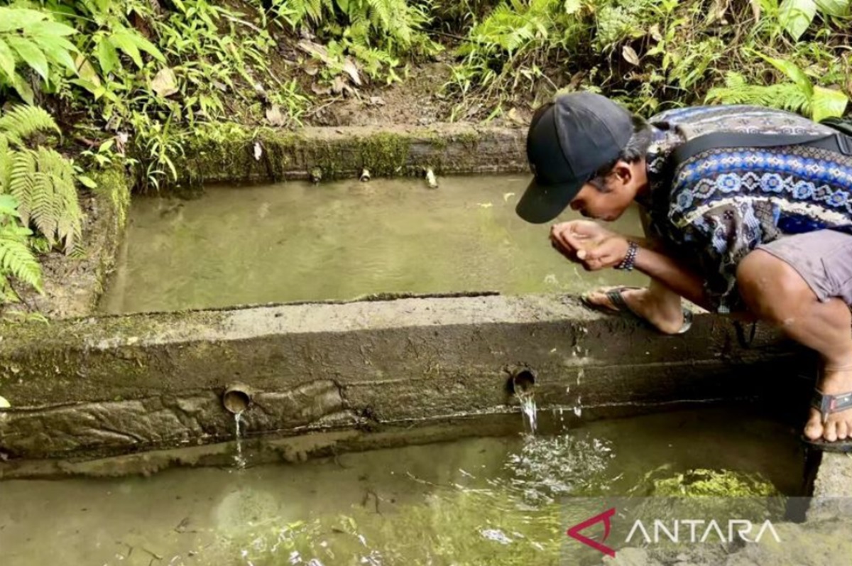 Menjaga Gunung Hapuk Sebagai Sumber Mata Air Bagi Suku Dayak Meratus