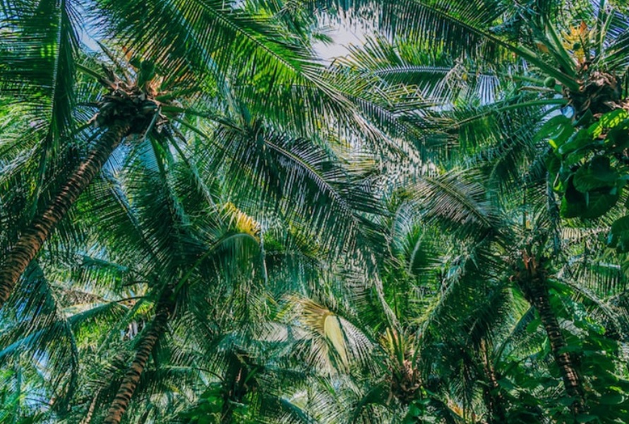 Nah! Ini Penjelasan Saksi Ahli pada Polres Muaro Jambi Terkait Keberadaan Tim 12 di Desa Betung