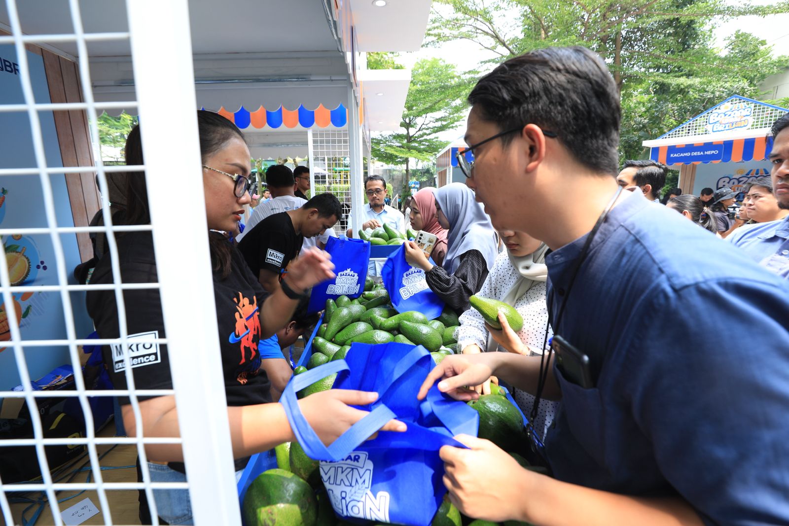 Berkat Program Pemberdayaan BRI Klasterku Hidupku, Petani Ini Berhasil Kembangkan Budidaya Alpukat