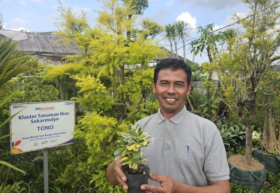 Sukses Jadi Mata Pencaharian Warga Sekitar, Ini Kisah Klaster Usaha Tanaman Hias Binaan BRI 