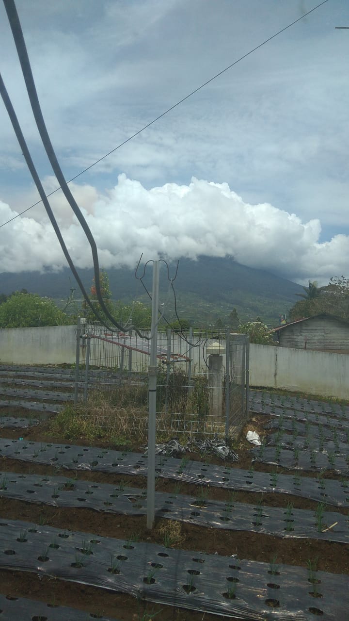 BREAKING NEWS: Gunung Kerinci Erupsi, Semburkan Abu Vulkanik Capai 700 Meter