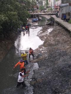 Sejumlah Anak Sungai di Kualatungkal Alami Pendangkalan, DLH Rencanakan Hal Ini