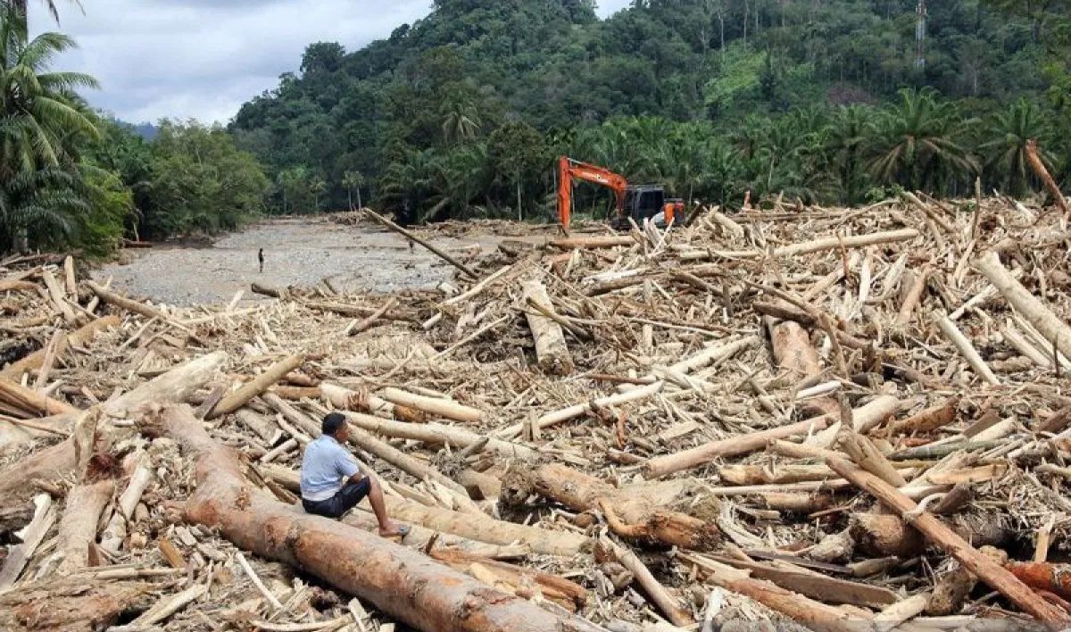 Kemenhut Telusuri Kayu Terbawa Banjir Sumatera, Indikasi Illegal Logging Diusut