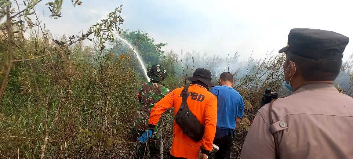 Sekitar 7 Hektar Lahan Sawah di Desa Pudak Kumpeh Ulu Hangus Terbakar