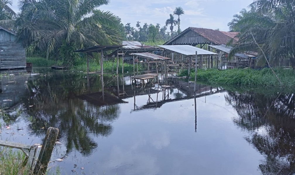 Warga Desa Suka Maju Tanjab Timur Resah! Jadi Langganan Banjir, Ancaman Hewan Buas Mengintai