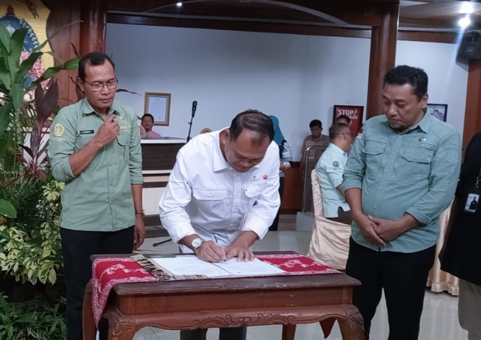 POKTAN dan Dinas TPH Tanjab Timur Optimalkan Benih Jagung Hibrida Bantuan SKK Migas PetroChina