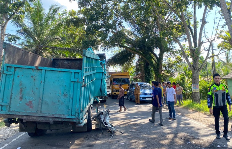 Kecelakaan di Desa Lopak Aur Batang Hari, Sopir Truk Luka Parah