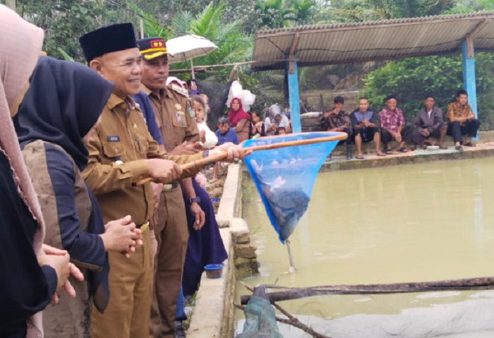 Pemkab Tebo Panen Raya Budidaya Ikan Nila di Desa Pulung Rejo