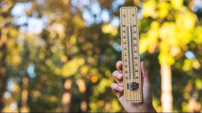 BMKG Rilis Prakiraan Suhu di Kota Besar Indonesia, 21 November 2025