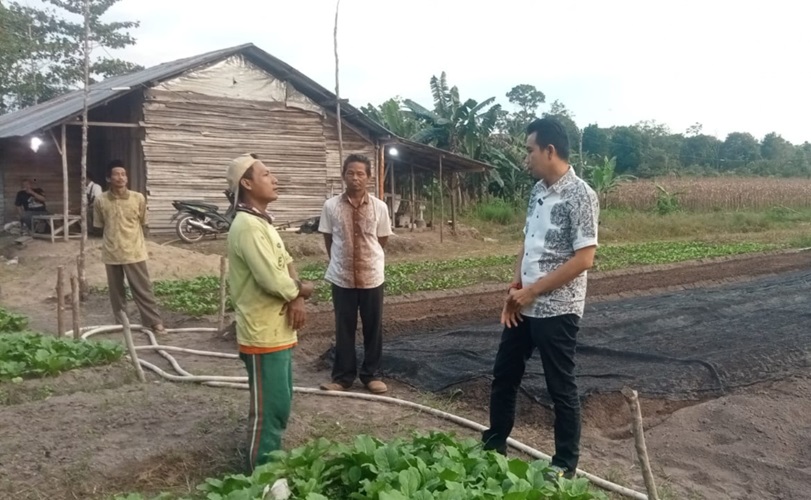 Jika Terpilih, Ini yang akan Dilakukan Zuwanda untuk Petani Sayur 