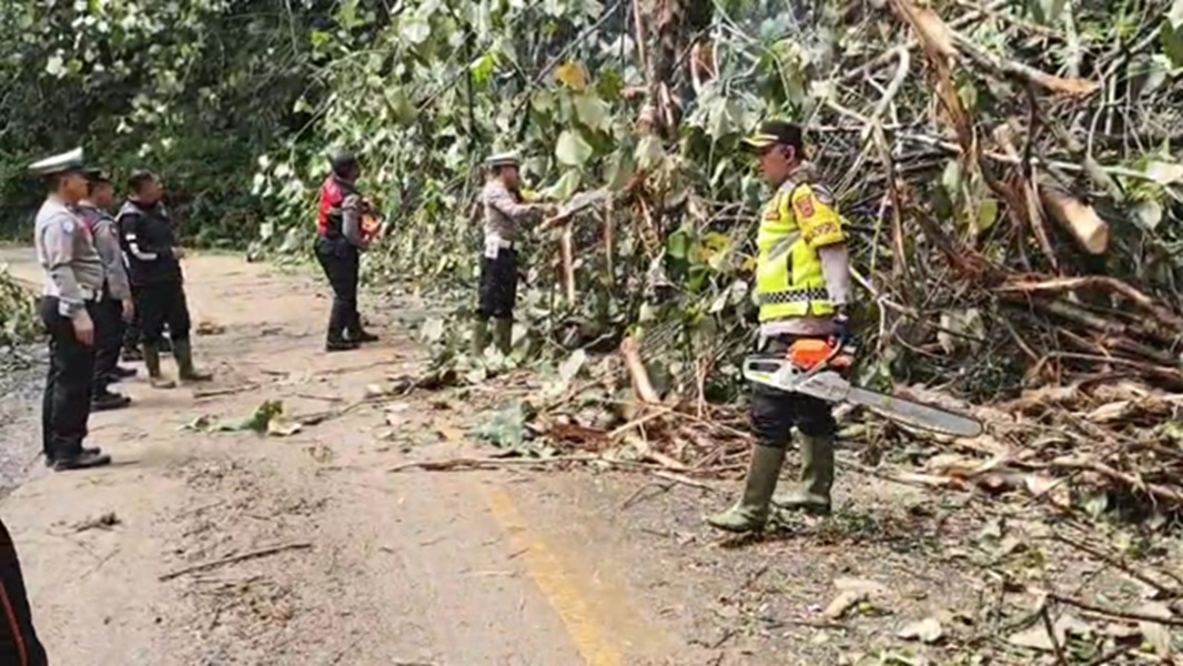 Longsor Sungai Penuh-Tapan, Jalur Jambi-Sumbar Terbuka, Polisi Imbau Pengendara Waspada