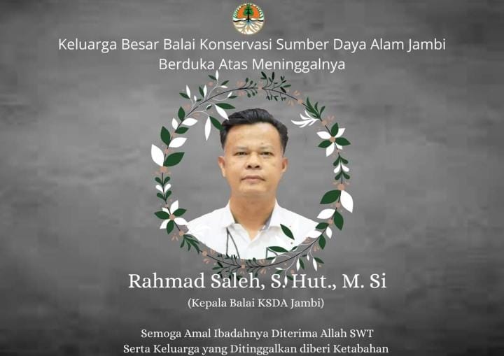 Kabar Duka, Kepala BKSDA Jambi Rahmad Saleh Meninggal Dunia di RSUD Raden Mattaher 