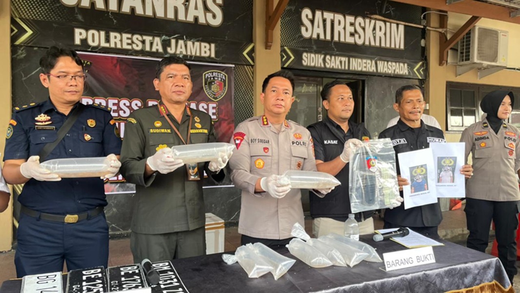 Wow! Hampir 48 Ribu Benih Lobster Ilegal Senilai Rp7,1 M Diamankan di Jambi, Diduga Jaringan Antar Provinsi