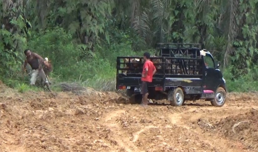 Warga Mulai Lalui Jalan yang Dibangun pada TMMD ke-115 Kodim 0415/Jambi