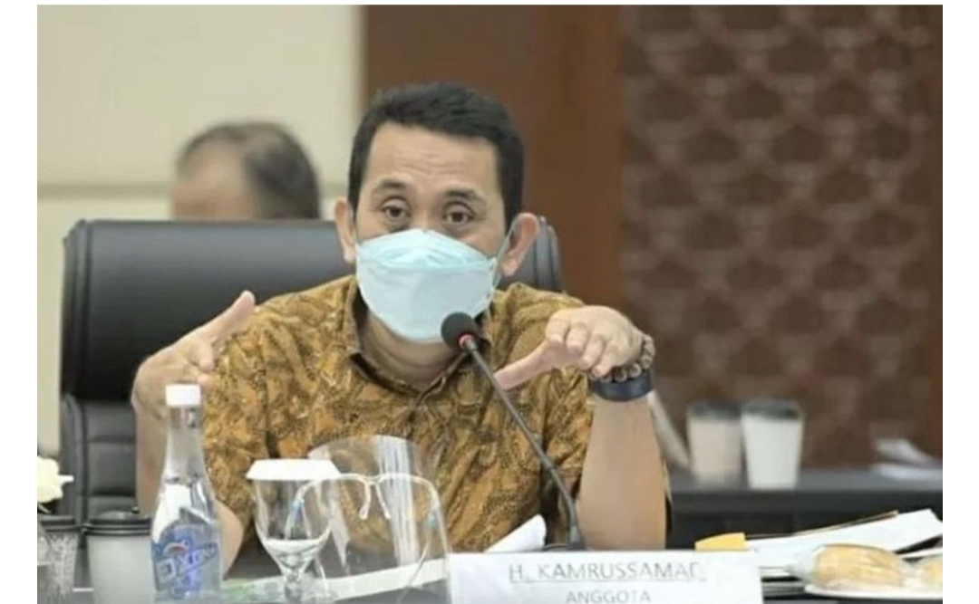 Jokowi Diminta Mewaspadai Saran IMF Oleh Dewan