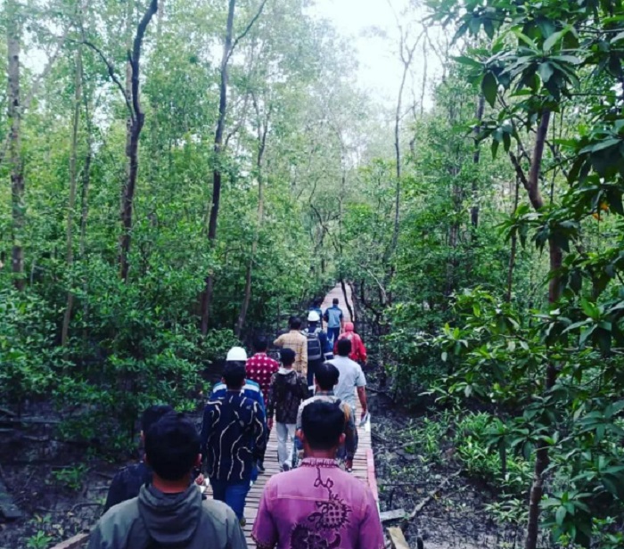 Pemuda Pesisir Pangkal Babu Apresiasi Penanaman Pohon Mangrove SKK Migas PetroChina International Jabung Ltd