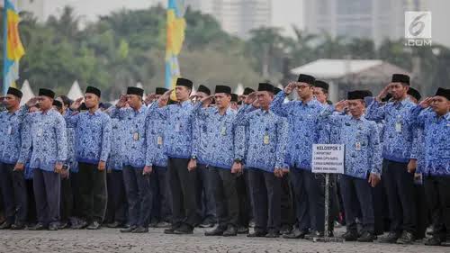 Wajib Anda Ketahui, Ini 5 Perbedaan CPNS dan PPPK 