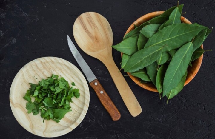 Tak Banyak Orang Tahu, Manfaat Daun Sirih Mampu Mengurangi Bakteri Plak Gigi