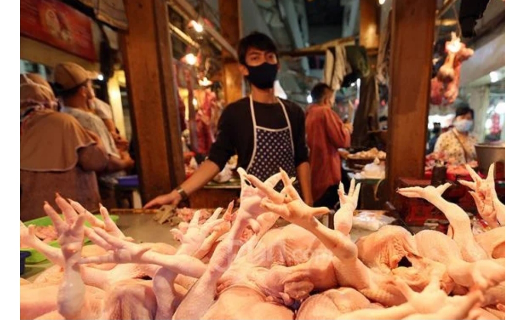 Indonesia Akan Ekspor Ayam dan Produknya ke Singapura