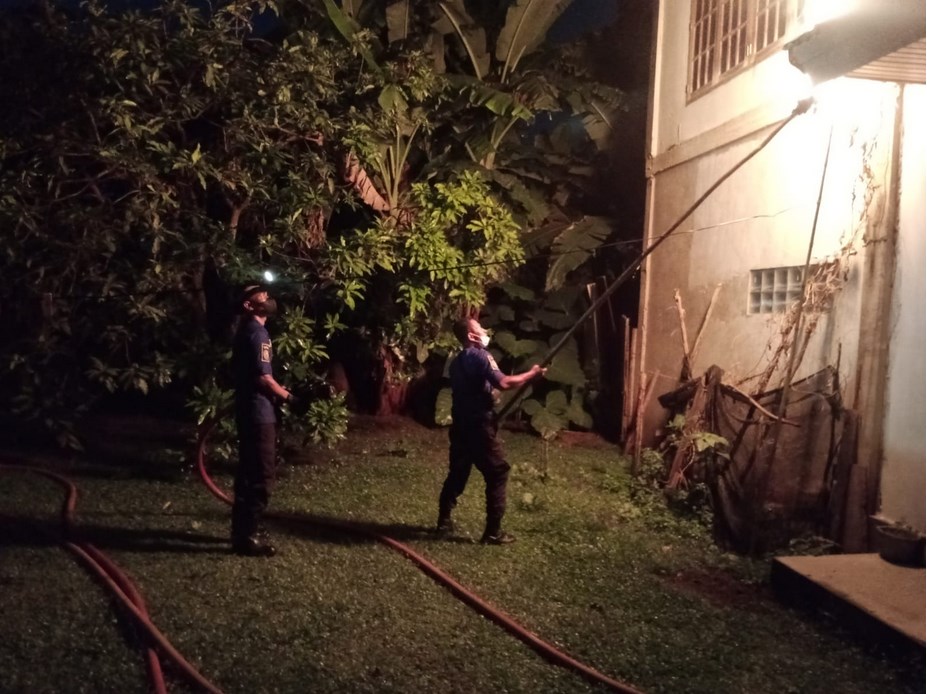 Membahayakan, Petugas Damkar Kota Jambi Evakuasi Sarang Tawon Vespa di Rumah Warga