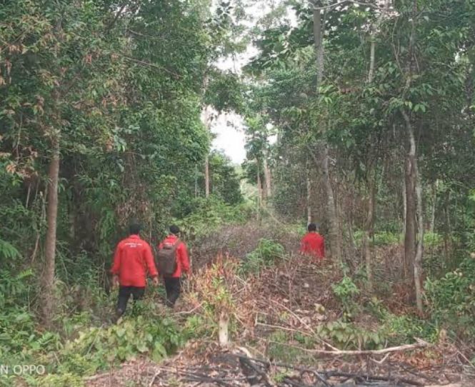 Kondisi Tahura di Kabupaten Batanghari Memprihatinkan, Ini Respon Dinas Kehutanan Provinsi Jambi 
