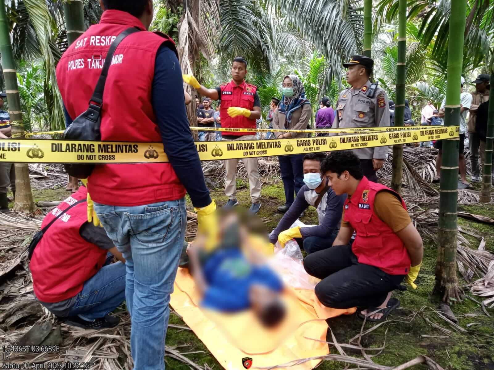 BREAKING NEWS : Pria 62 Tahun Ditemukan Tewas Gantung Diri di Kebun Pinang di Tanjab Timur