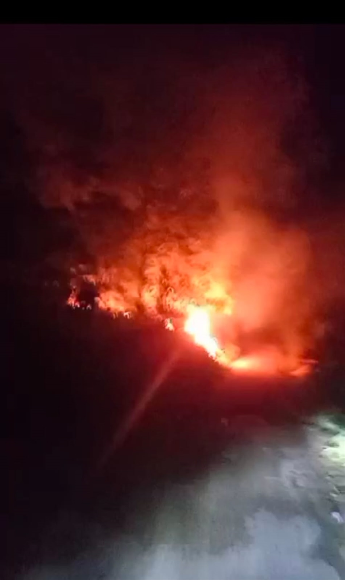 Waduh, Puluhan Hektare Lahan Terbakar di Dekat Perkantoran Bupati Tebo