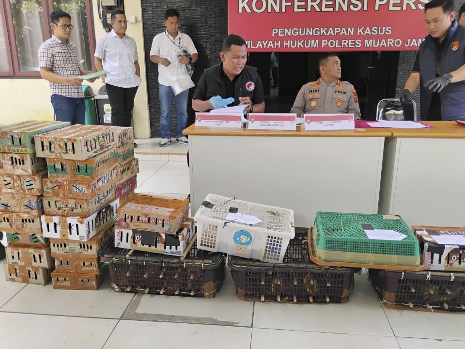 Nah! Edi Purwanto Ditangkap Satreskrim Polres Muaro Jambi, Kasus Penyelundupan Ratusan Burung Dilindung