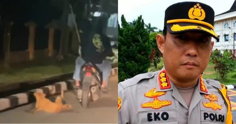 NAH LOH! Kasus Penyeretan Anjing di Jambi, Resmi Dilaporkan ke Polisi