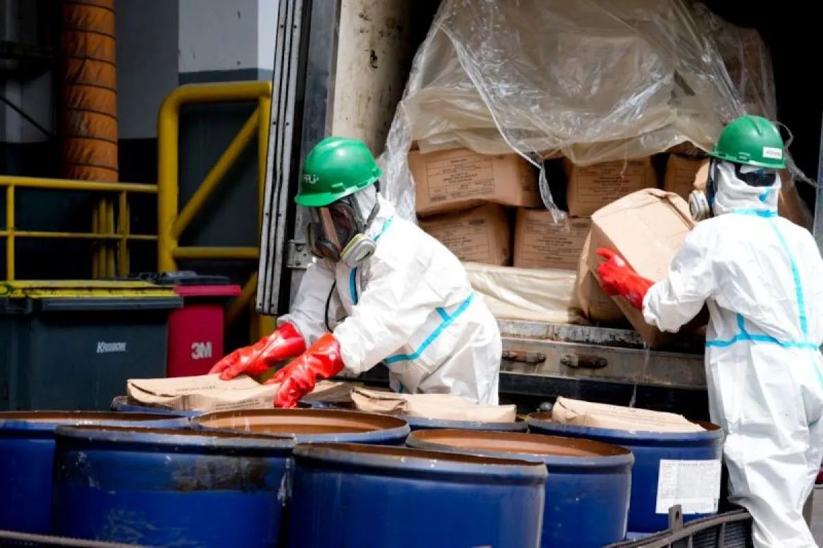 Barantin Musnahkan 5,7 Ton Udang Terkontaminasi Cesium-137 untuk Jaga Keamanan Pangan