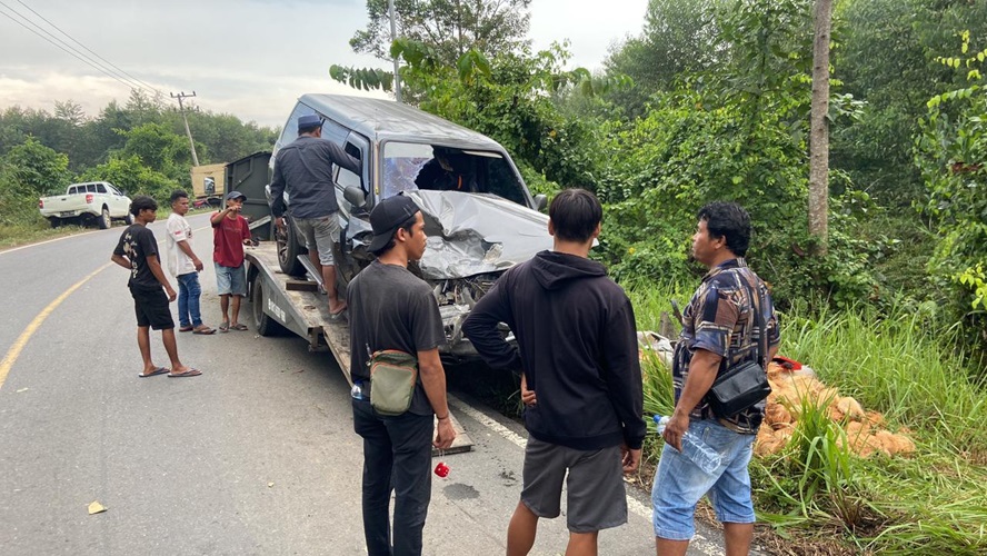 Kecelakaan di Jalan Lintas WKS Tanjab Timur, Truk dan Isuzu Panther Adu Kambing 