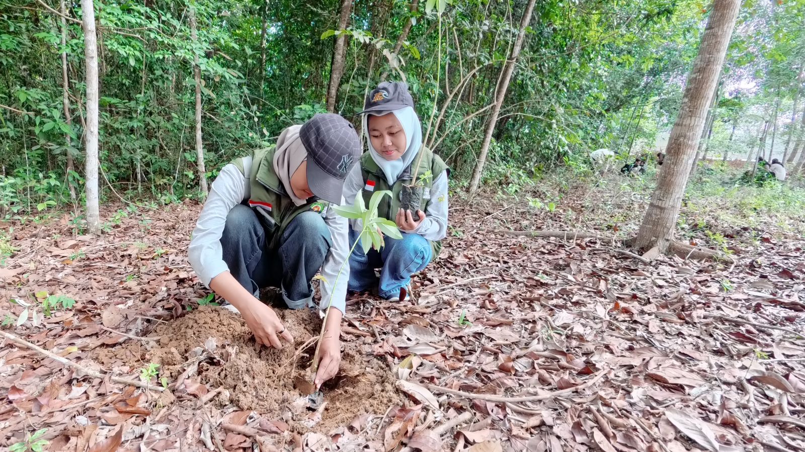 Jejakkan Aksi untuk Bumi, Sinsen Hijaukan Jambi dengan Penanaman Lebih dari 500 Bibit Pohon