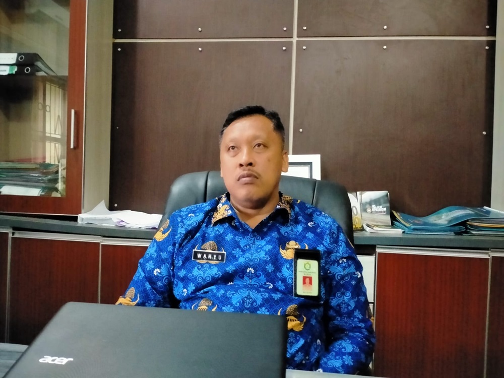 Begini Nasib Honorer di Kabupaten Bungo yang Tidak Lolos Seleksi PPPK