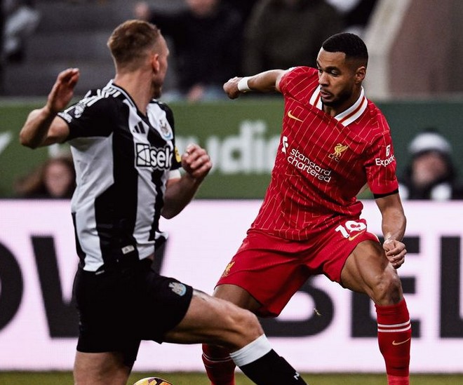 Newcastle Tahan Imbang Liverpool 3-3, Akhiri Tren Kemenangan The Reds  