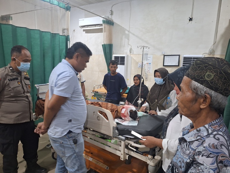 Beruang Serang Petani di Muaro Jambi Juga Pernah Terjadi pada 2023 Lalu, Camat Mestong Minta Warga Waspada