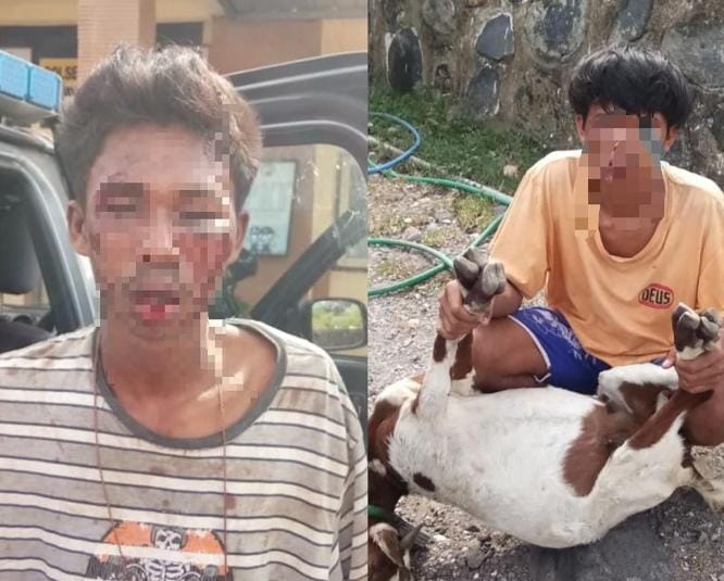 Ketahuan Curi Kambing, Dua Pemuda di Kota Bima Babak Belur Dihajar Warga