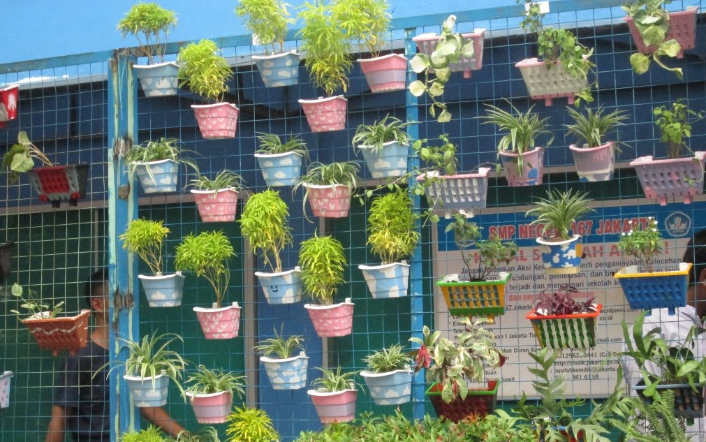 Bikin Betah di Rumah! Ini 9 Ide Taman Indoor Minimalis yang Ampuh Redakan Stres Sekaligus Perindah Hunian
