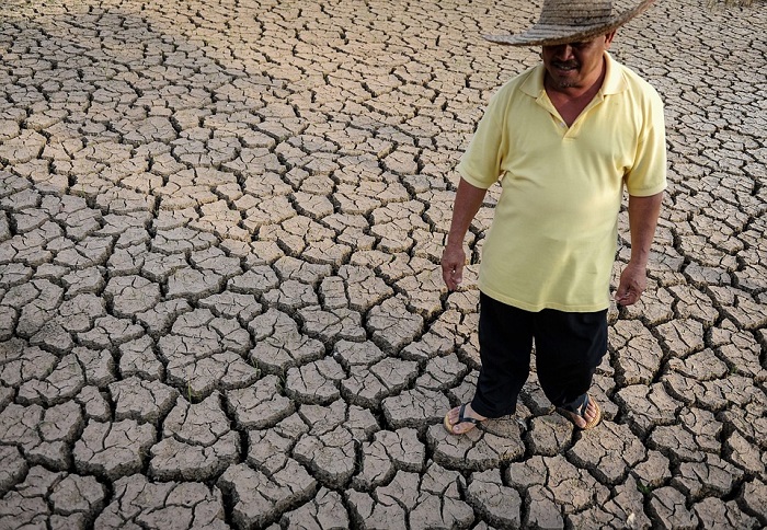 Serem! 32 Provinsi Ini Harus Waspada Kemarau Ekstrem Akibat El Nino, Apa yang Harus Dilakukan? 