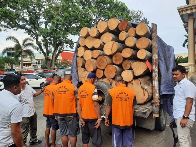 Kasus Ilegal Logging di Jambi, 4 Pelaku Coba Selundupkan Kayu Hutan, Nasibnya Kini di Tangan Polda Jambi