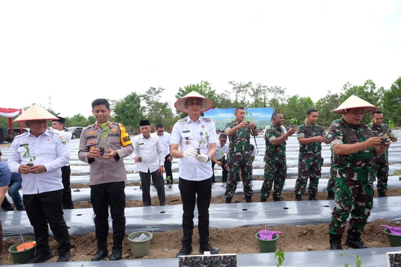 Pj Bupati Bachyuni Ikuti Tanam Cabai Serentak di Desa Bukit Baling 