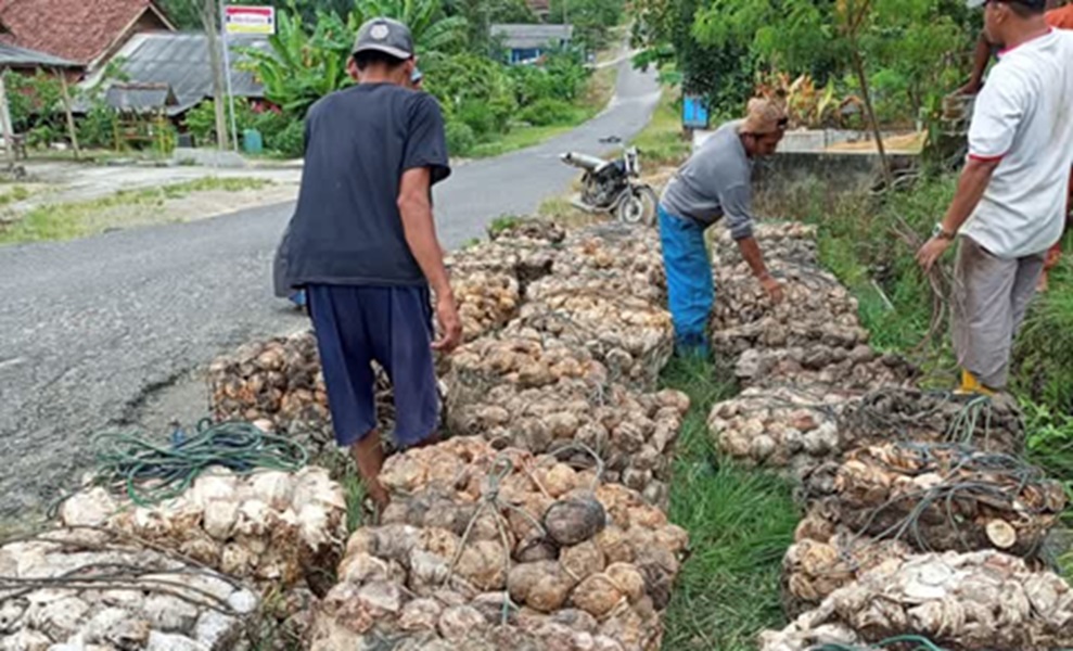 Libur Panjang Isra Miraj dan Imlek, Harga Karet di Kabupaten Bungo Naik, Petani Bersyukur