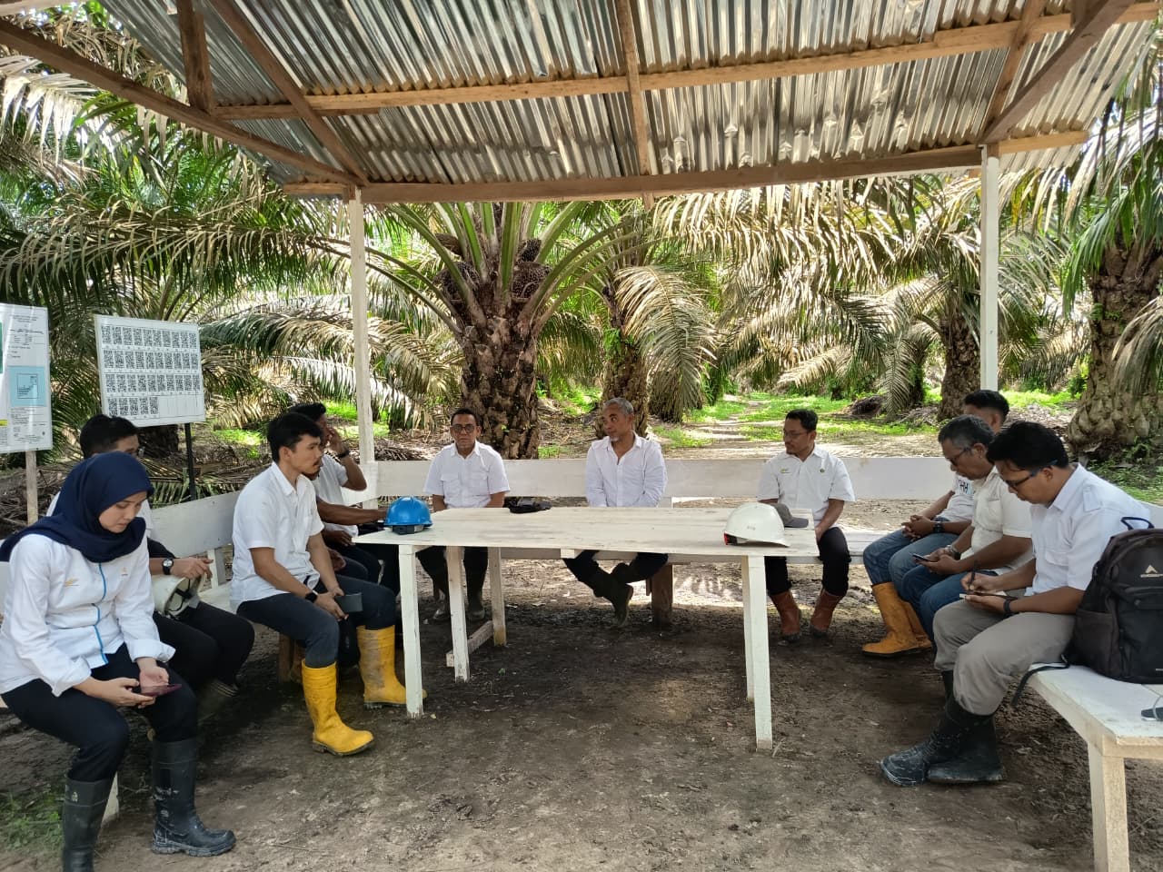 Kebun PTPN IV Regional IV Utamakan Operational Excellence 