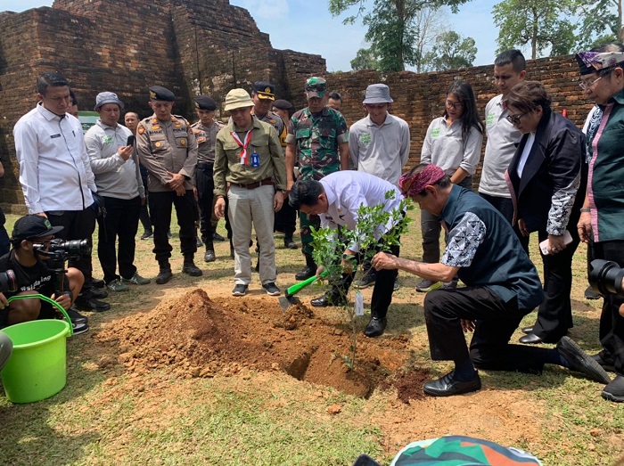 Melalui Siap Darling, Djarum Foundation Tanam 11.920 Pohon dan Semak di Kawasan Percandian Muaro Jambi