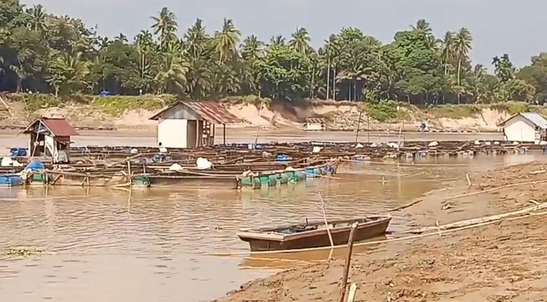 Pelayaran Menuju Hulu Terhenti, Imbas Menurunnya Debit Air Sungai Batanghari 