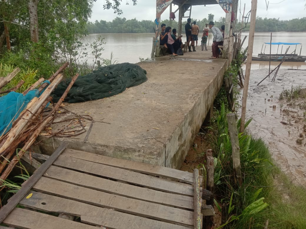 Begini Kronologi Tongkang Bermuatan Pulp Tabrak Dermaga Sungai di Senyerang Kabupaten Tanjab Barat